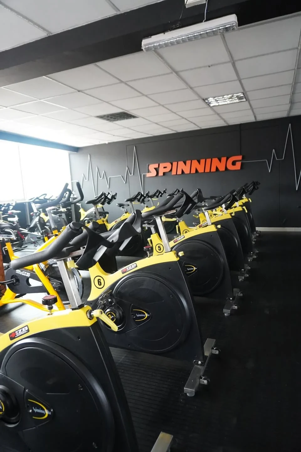 SPINNING