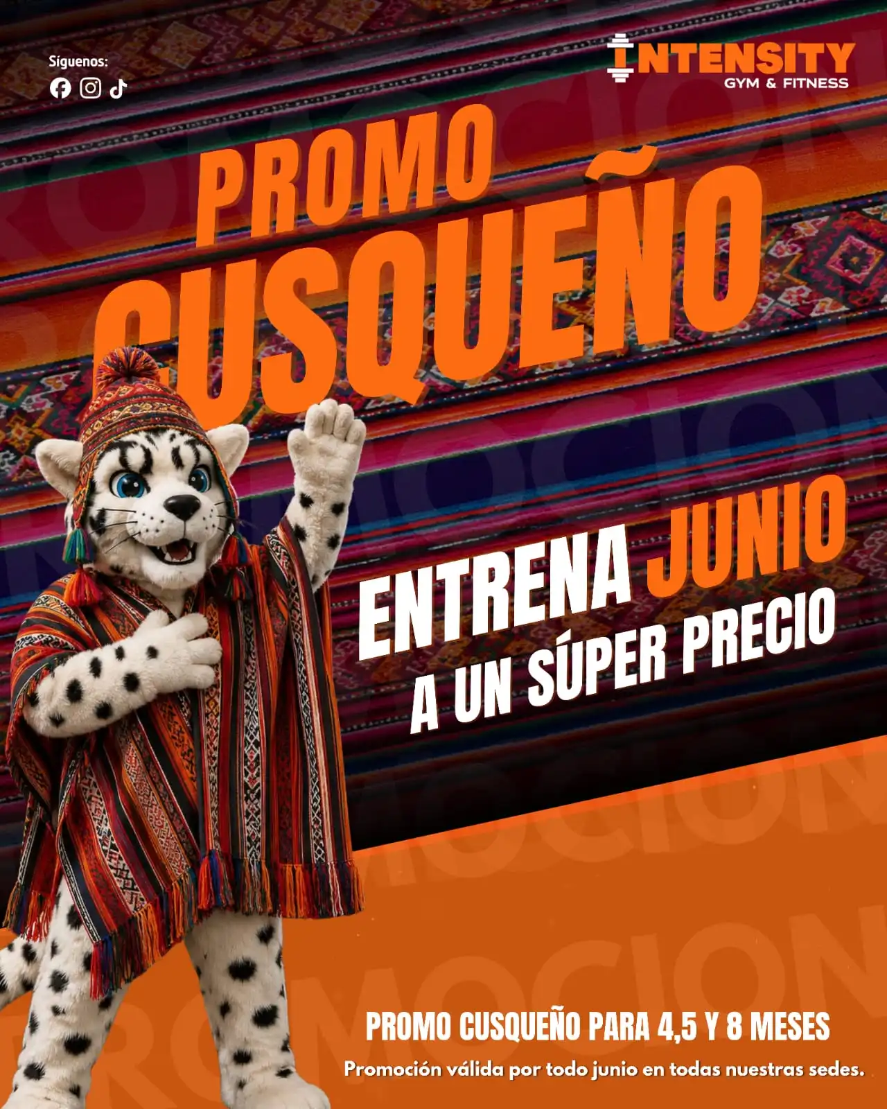 PROMO 5 AÑOS