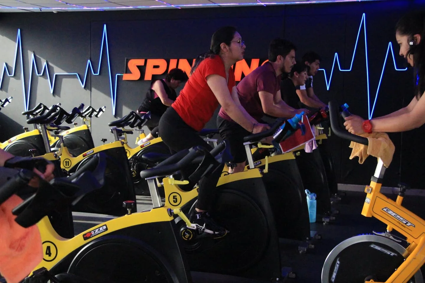 SALUD CARDIOVASCULAR